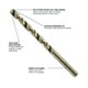 thumbnail image 3 of Juego de brocas BOSCH CO21B de metal cobalto M42 de 21 piezas con funda, 3 of 7