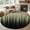 Green, variant on Rectangle Area Rugs 5 x 7 Ft, Dark Red Black Ombre Non-Slip Residential Carpet, Modern Abstract Art Striped Gradient Indoor Crawling Mats Runner Rugs for Living Room/Dining Room/Bedroom