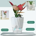 Fdelink Basin Self Watering Planter African Violet Pots Clear Automatic ...