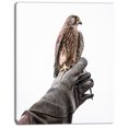 thumbnail image 2 of Kestrel Sitting on Falconer Hand - Abstract Canvas Art Print, 2 of 3