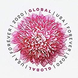 Global International Chrysanthemum Sheet of 10 USPS Postal 1st Class Mail  Forever US Postage Stamps Wedding Celebration Engagement Anniversary Bridal  