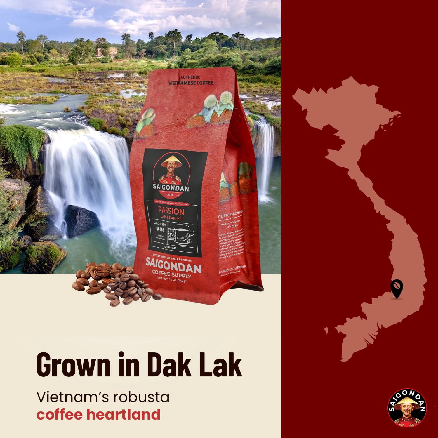 SAIGONDAN Passion Vietnamese Single Origin Robusta Coffee — French Roast Whole Bean, Bold & Rich Flavor, 12 oz