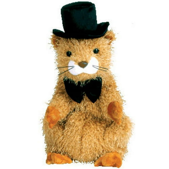 TY Beanie Baby - PUNXSUTAWNEY PHIL 2004 the Groundhog (Chamber of Commerce Exclusive) (6.5 inch)