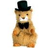 TY Beanie Baby - PUNXSUTAWNEY PHIL 2004 the Groundhog (Chamber of Commerce Exclusive) (6.5 inch)