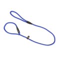 thumbnail image 1 of Benji & Flo Classic Dog Slip Lead, 1 of 1