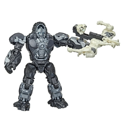 Transformers Rise of the Beasts Optimus Primal Action Figure, Plastic Multicolor, 7.01'' x 7.99''