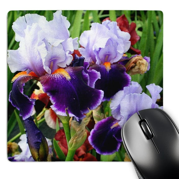 3dRose, Image of Purple Irises, MousePad