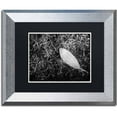 thumbnail image 1 of Trademark Fine Art 'Leaf in Phlox' Canvas Art by PIPA Fine Art, Black Matte, Silver Frame, 1 of 1