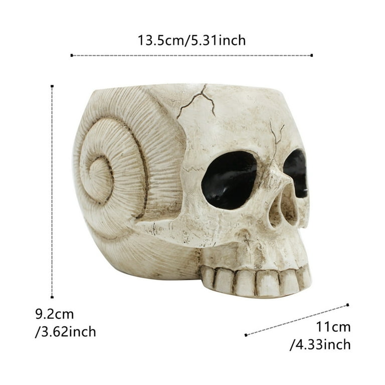 ACQ鉢 scull head ACQ鉢scull head