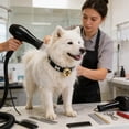 thumbnail image 6 of Adjustable Pet Collar for Small & Medium Dogs | Red Bones Design, Bells, Secure Polyurethane Neckband | Multiple Colors, Sturdy, Comfortable Fit, 10-14cm | Premium Durable Dog Accessory, 6 of 6