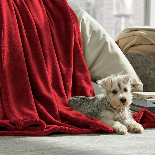 Bare Home Ultra Soft Microplush Velvet Blanket Luxurious Fuzzy Fleece Fur All Season Premium