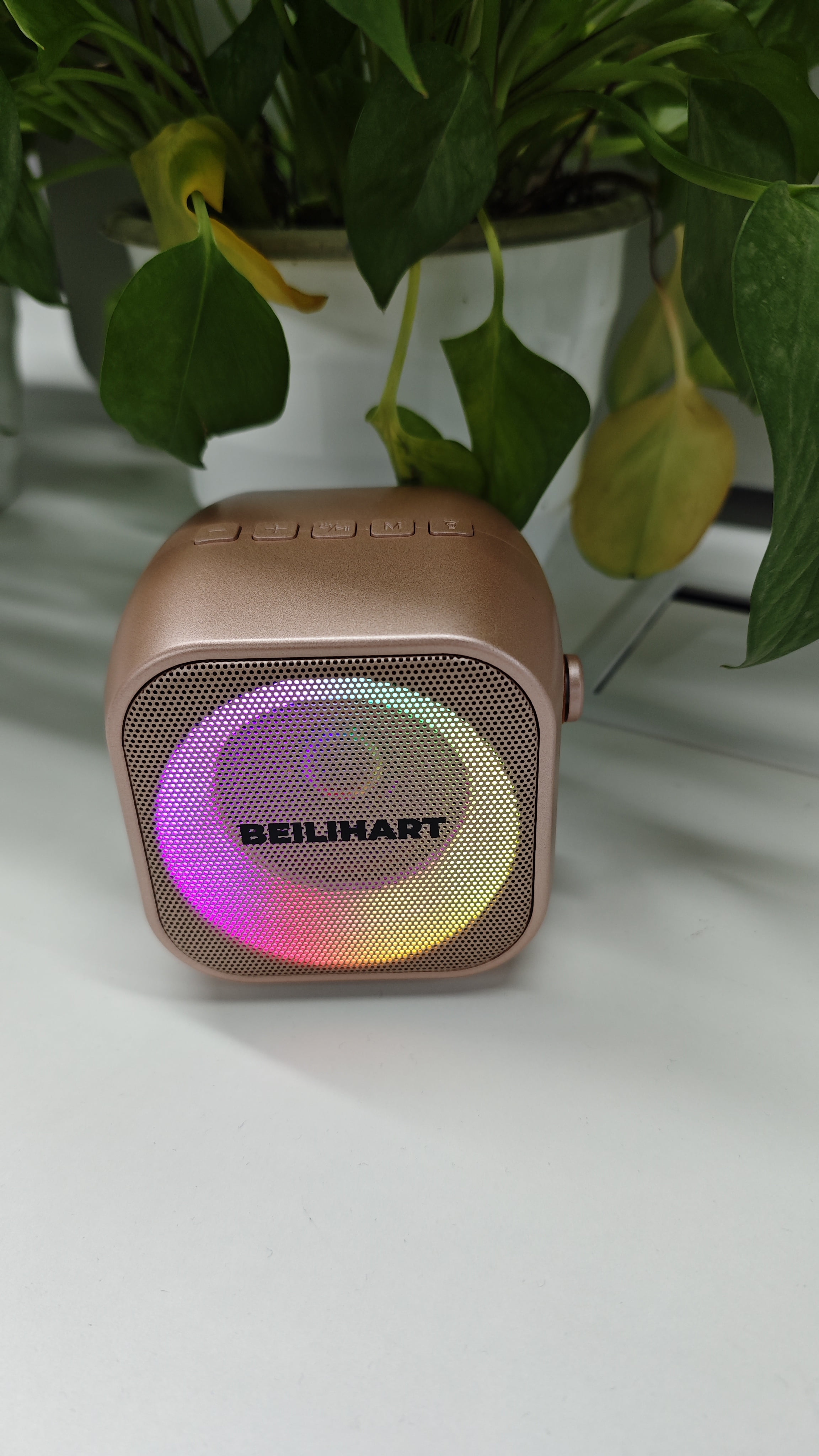BEILIHART Karaoke Machine for Kids Adults, Mini Portable Bluetooth Karaoke Speaker with Wireless Microphone