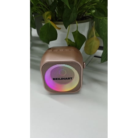 BEILIHART Karaoke Machine for Kids Adults Mini Portable Bluetooth Karaoke Speaker with Wireless Microphone