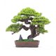 thumbnail image 1 of Simulación de bonsái, plantas verdes falsas, plantas en macetas, adornos decorativos chinos for oficina, estudio, hotel, muebles de alta calidad, 1 of 9