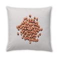 thumbnail image 2 of Ahgly Company Foods Nuts Coussin d'Intérieur, 18 Pouces par 18 Pouces, 2 of 6