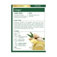 thumbnail image 5 of Traditional Medicinals Herbal Tea Organic Ginger 16 Tea Bags Pack of 3, 5 of 5