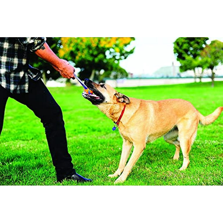 Chuckit Ultra Tug Dog Ball with Strap Rubber Tug Toy for Dogs 60 100 lb Multicolor Large Walmart