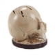 thumbnail image 3 of Portacuchillas de Calavera para Almacenamiento de Cocina, Portacuchillas Esqueleto, Estante para Cabeza de Almacenamiento de Cocina, Estante de Almacenamiento de Frutas para Cocina, 3 of 8