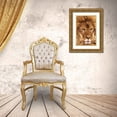 thumbnail image 3 of Welling, Dave 23x32 Gold Ornate Wood Framed with Double Matting Museum Art Print Titled - CA, Los Angeles Co, African lion male, 3 of 4