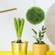 thumbnail image 4 of unbranded 2Ud Bola Topiario De Césped Falso Verde Para De Y Espacios Interiores Y Exteriores, 4 of 6