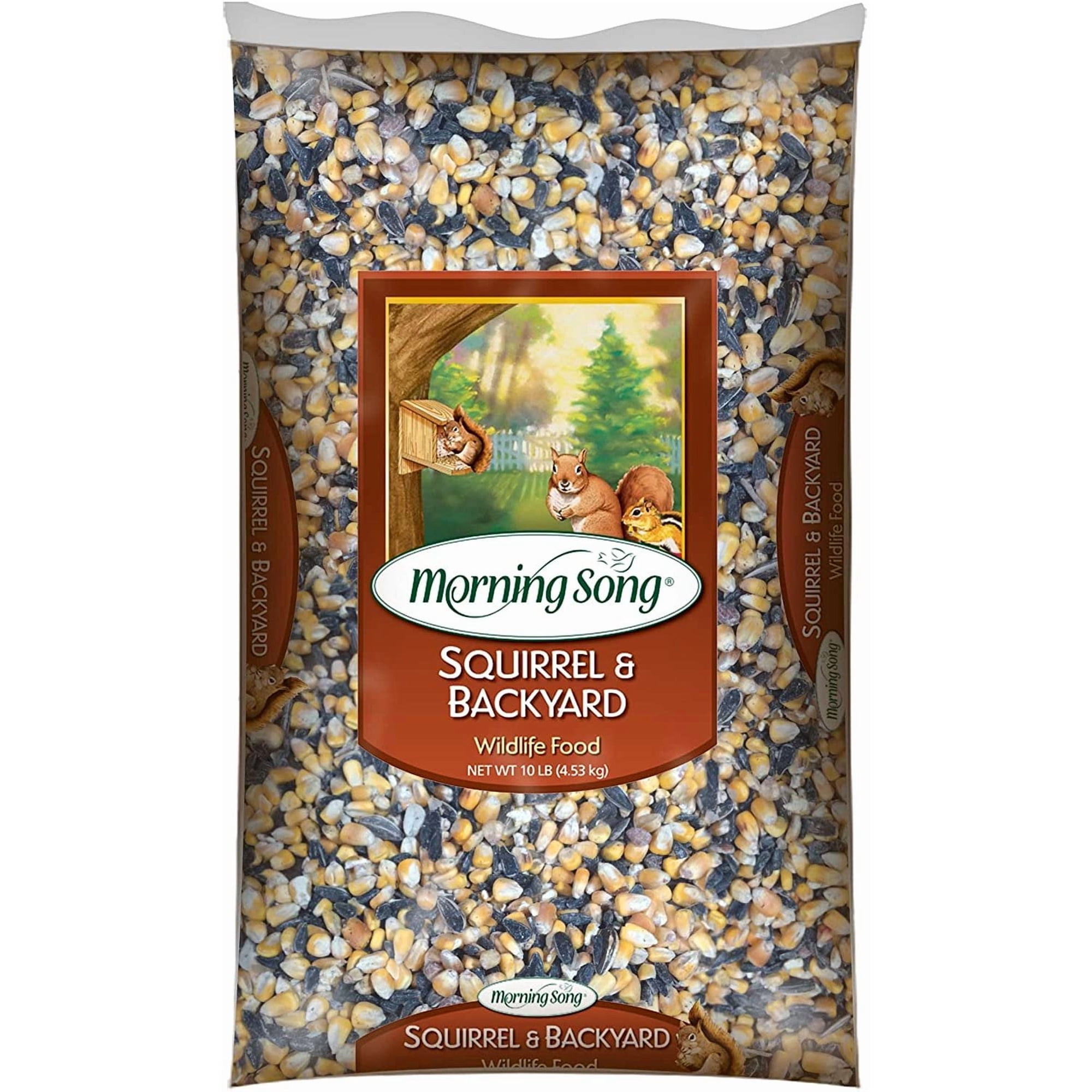Morning Song Squirrel and Backyard Wildlife Food - Seeds - 10-Pound