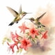 thumbnail image 1 of 5D DIY Con Taladro Colibrí Artesanal 40x40cm, 1 of 9