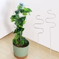 thumbnail image 4 of Spiral Plant Support Trellis,15.75 inch Metal Plant Stake for Climbing Plants, Indoor Plant Support for Potted Vines, Monstera, Pothos, Decorative Plant Stake for Houseplants, Garden Plant Support, 4 of 6