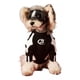 thumbnail image 1 of Ropa Para Perros Mascota Otoño, 1 of 6