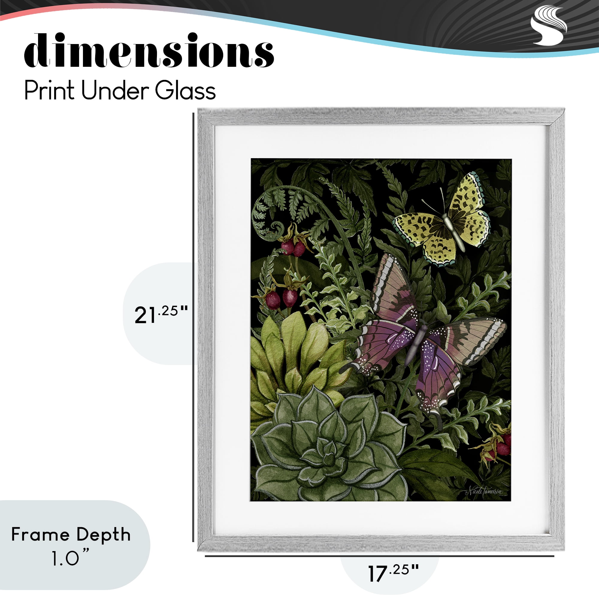 Stupell Industries Dark Succulents Midnight Garden Gray Framed Print Under Glass, design by Nicole Tamarin