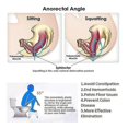 thumbnail image 2 of Squatting Toilet Stool 9 Inch Non-slip Bathroom Step Up Stool Relieves Constipation Bloating | Aligns The Colon For Faster Easier Relief--, 2 of 5