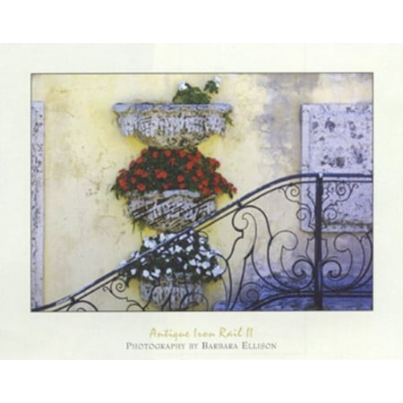 Antique Iron Box Antique Iron Rail II by Barbara Ellison 16x20 PosterSTAIRWAY FRONT ENTRANCE FLOWER BOxES HAND RAIL VINTAGE FLORAL STEPS ()