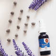 thumbnail image 2 of Propóleo Tintura al 10% Suplemento Alimenticio Bee Tierra 30ml, 2 of 2