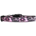 thumbnail image 1 of Tackle Breast Cancer Nylon Dog Collar Sm, 1 of 1
