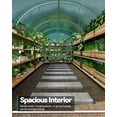 thumbnail image 3 of Walk-In Tunnel Greenhouse 15×7×7 FT – Heavy Duty Outdoor Greenhouse with Galvanized Steel Frame, Thick PE Mesh Cover, 8 Roll-Up Mesh Windows & Zipper Door for Backyard Gardening, 3 of 7