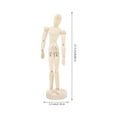 thumbnail image 4 of Table Top Mannequin Synthetic Material For Classroom Use 1Set 8.45x2.16x2.16in, 4 of 8