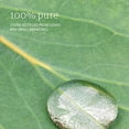 thumbnail image 3 of NOW Foods - 100% Pure Essential Oil Eucalyptus - 1 fl. oz., 3 of 5