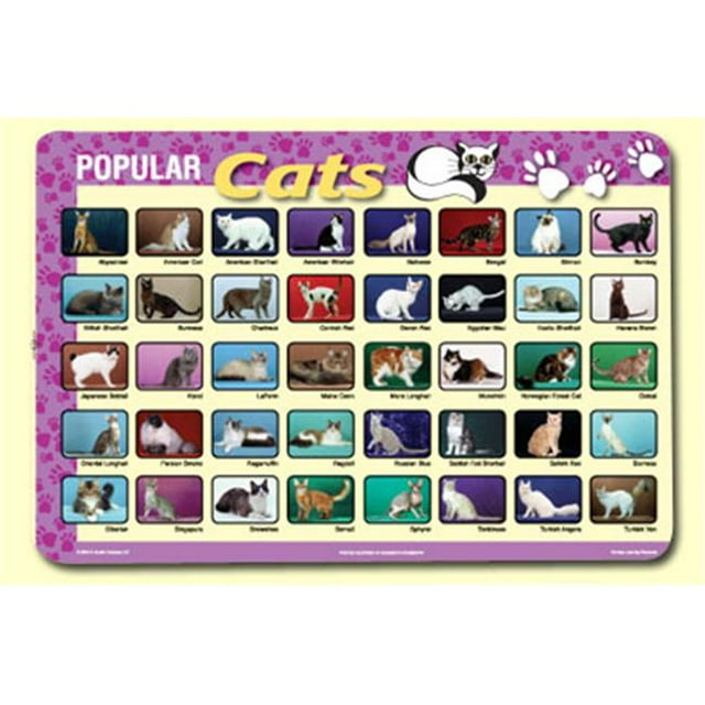 Painless Learning CAT-1 Set de Table pour Chats Populaires - Lot de 4
