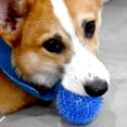 thumbnail image 2 of TPR Squeaky Dog Ball Toy, Durable Indestructible Chew Ball for Medium Large Dogs, Interactive Fetch & Tug Toy, BPA-Free, Odorless, 2.6 Inch, 2 of 7