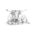 thumbnail image 2 of Harper, Ethan 18x15 Black Ornate Wood Framed with Double Matting Museum Art Print Titled - Highland Cattle Sketch II, 2 of 4