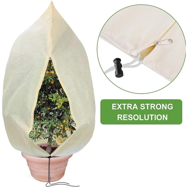 Cubierta protectora contra heladas de plantas de invierno