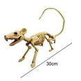 thumbnail image 5 of Dserhfy Halloween Mouse Skeleton Ornament Creepy Realistic Animal Skeleton Bone for Party Featival Decoration, 5 of 7