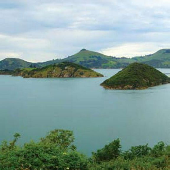 The Dead C - Secret Earth - Music & Performance - CD