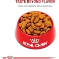thumbnail image 2 of Royal Canin Breed Health Nutrition Rottweiler Adult Dry Dog Food 30 lbs., 2 of 2