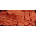 thumbnail image 2 of Guantes De Nitrilo Uniseal 100 Piezas Texturizado Sin Polvo, 2 of 3