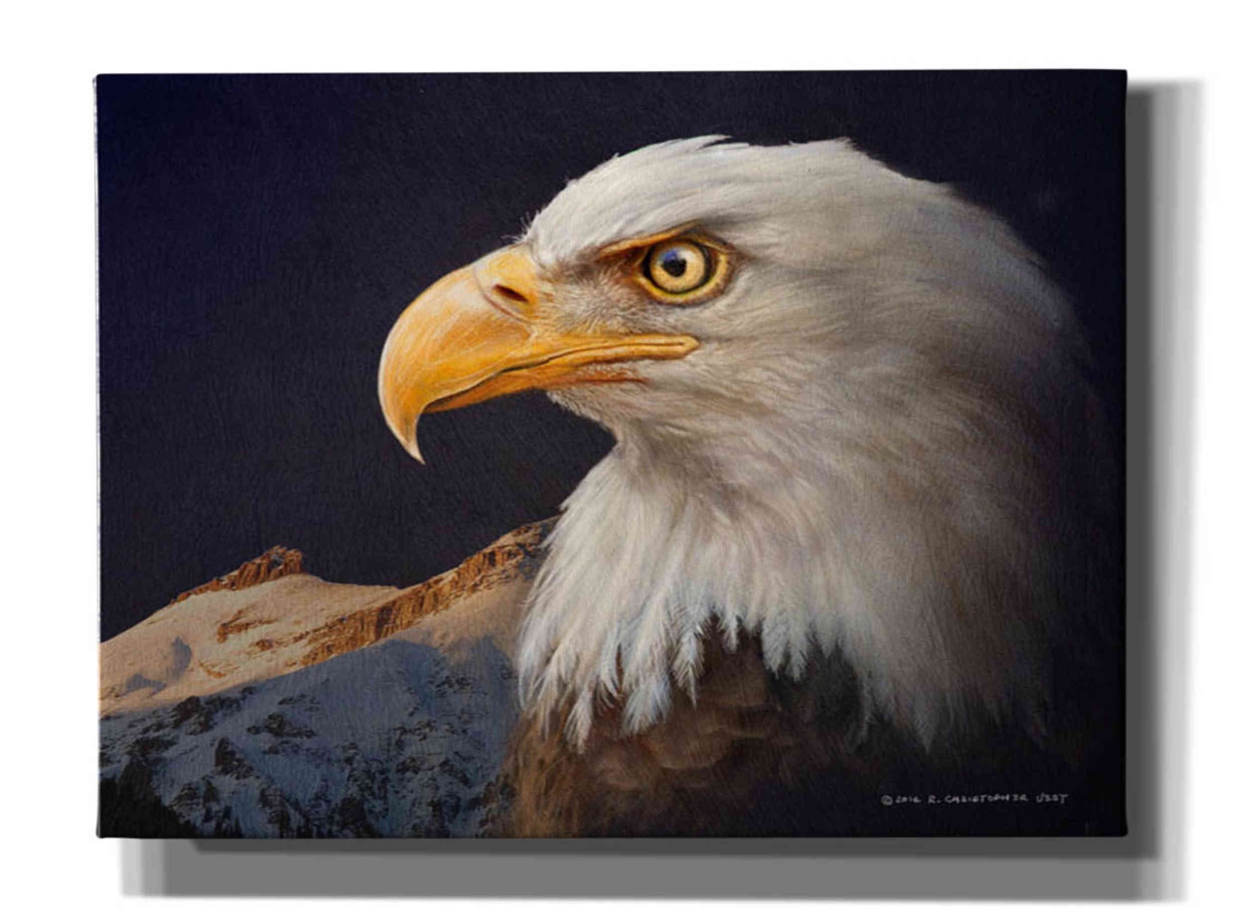 Large Bald Eagle Study Canvas Print in Dark Tones