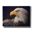 thumbnail image 1 of Epic Graffiti 'Bald Eagle Study' by Chris Vest, Canvas Wall Art, 54"x40", 1 of 3