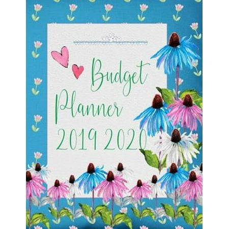 Budget Planner 2019 - 2020: Financial planner organizer budget book 2019 - 2020, Yearly Monthly Weekly & Daily budget planner, Fixed & Variable ex