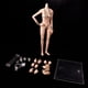 thumbnail image 2 of 1/6 Asia Costuras Femenino Con De Metal, Tonos De Piel Pálidos Y Esculpir La Cabeza Del Cabello Dorado + Soporte De Exhibición Y perfke Cuerpo femenino sin costuras, 2 of 9