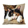 thumbnail image 2 of Weloille Pet Pattern Pillow Cover 1Pc, Soft Comfortable Cushion Case, Breathable Fade Resistant Throw Pillow Cover, Machine Washable for Sofa Couch Bedroom Living Room Office Home Decor, 2 of 6
