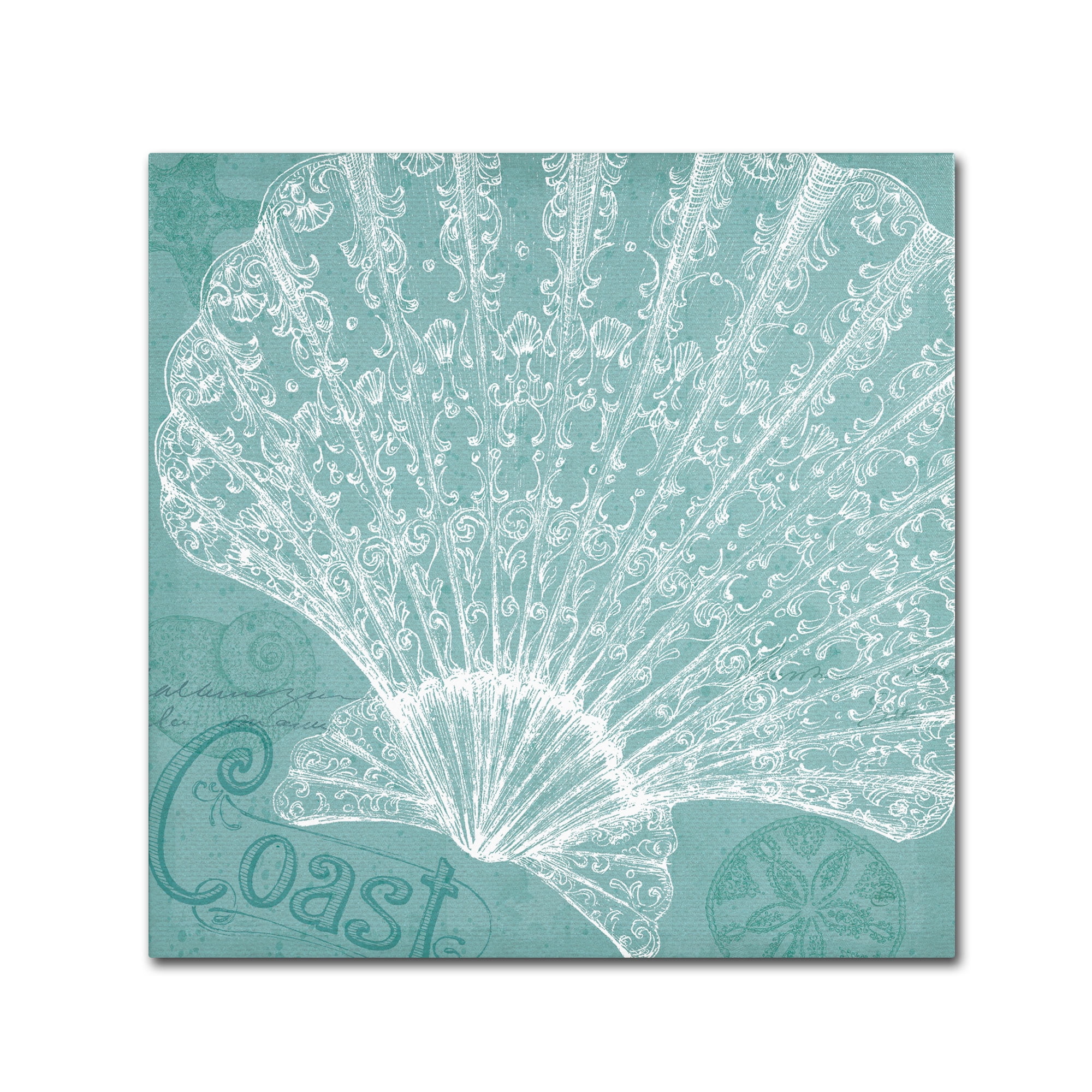 Trademark Fine Art "Aqua Treasure III" Canvas Art by Daphne Brissonnet